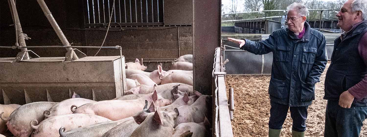 Bishop Steven and a farmer stand outside a pig pen talking