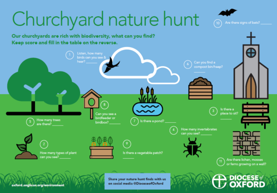 Churchyard nature hunt graphic 