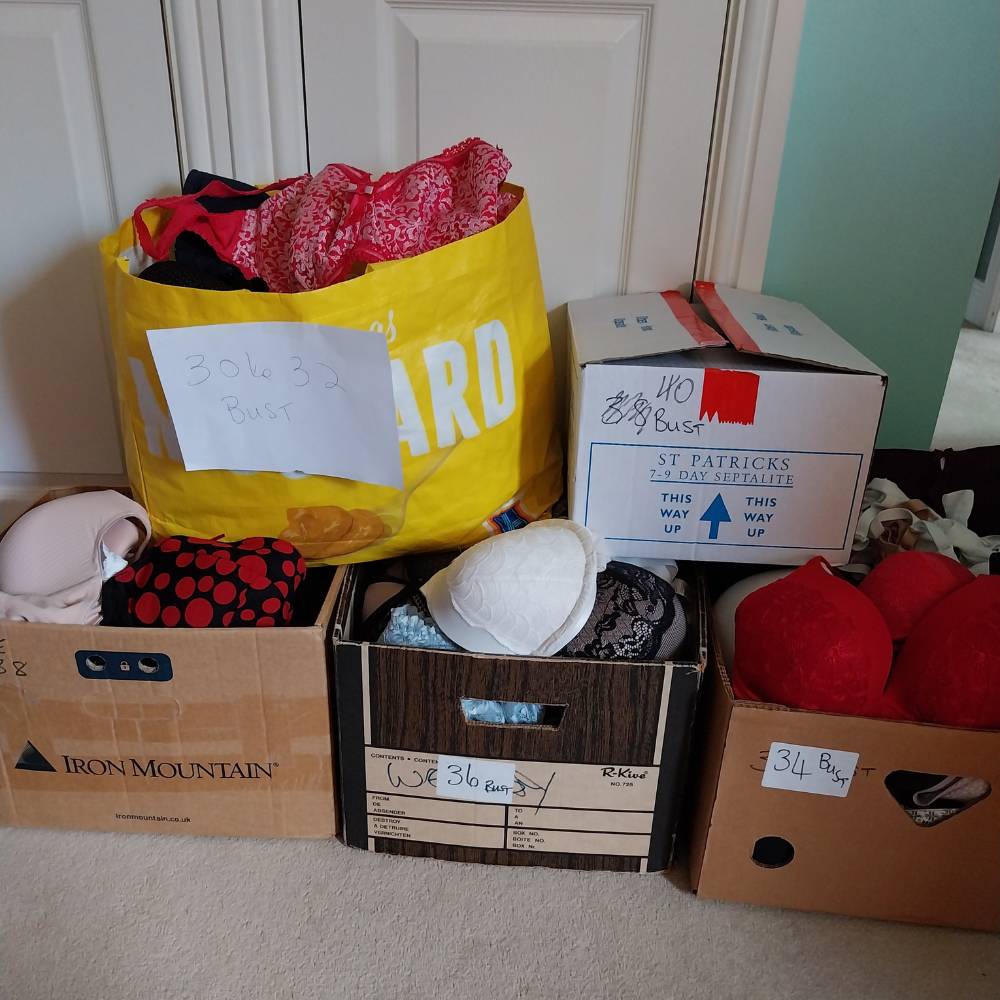Five large cardboard boxes of bras sorted into sizes
